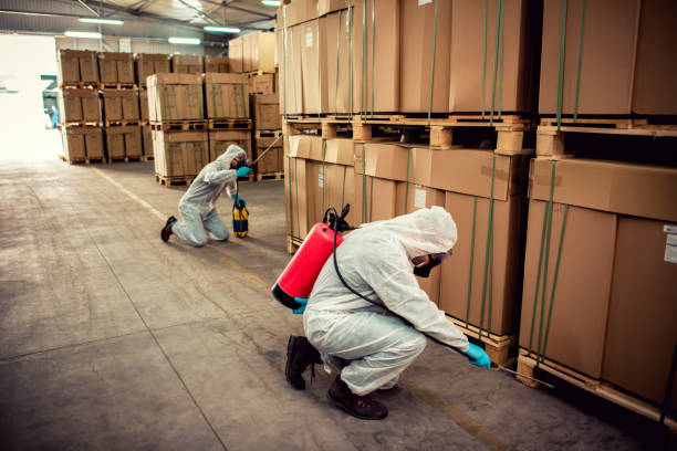 Trusted Edmonston, MD Pest Control Experts