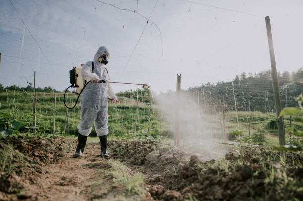 Best Affordable Pest Control Services  in Edmonston, MD