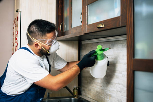 Best Pest Control Cost  in Edmonston, MD