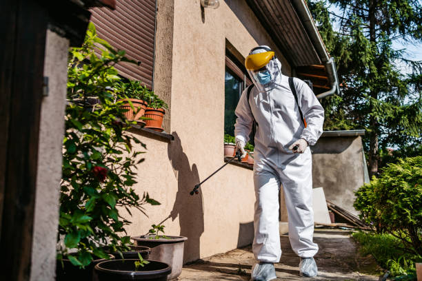 Best Pest Removal Services  in Edmonston, MD