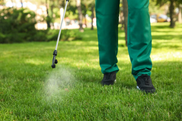 Best Cockroach Control Services  in Edmonston, MD