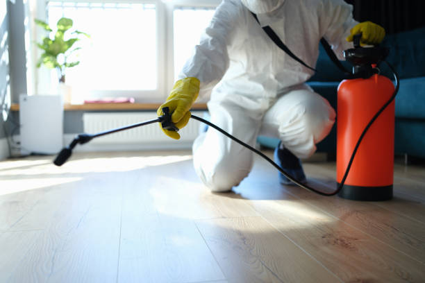 Best Termite Control Services  in Edmonston, MD
