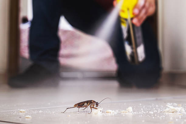 Best Commercial Pest Control Services  in Edmonston, MD