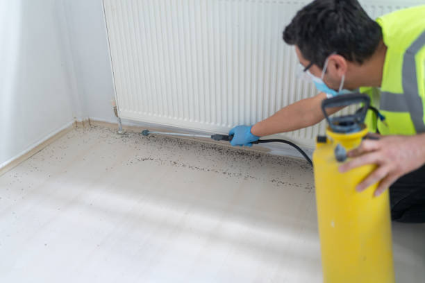 Best Pest Control Treatment  in Edmonston, MD
