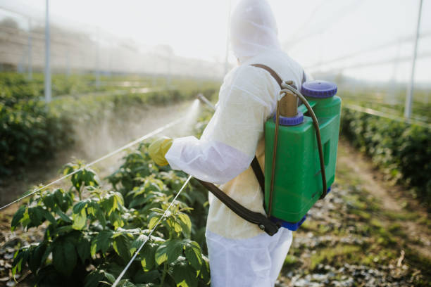 Best Wildlife Control Services  in Edmonston, MD